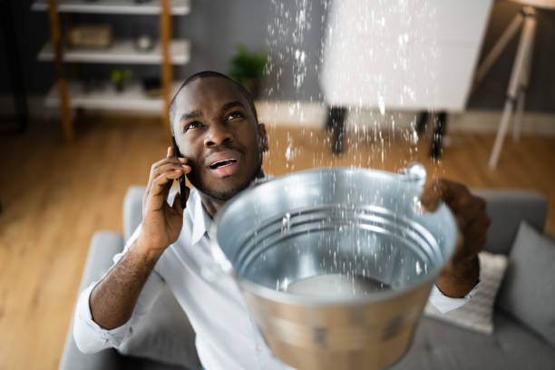 Best 24-hour water damage restoration  in Saginaw, MI