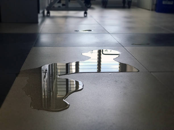 Best Water damage contractors near me  in Saginaw, MI