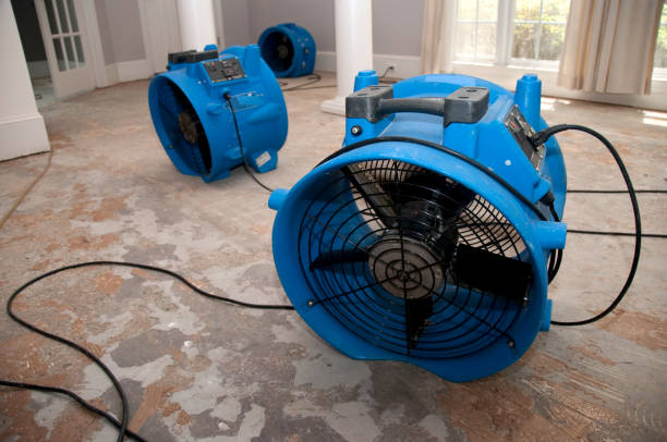 Best Water damage restoration company  in Saginaw, MI