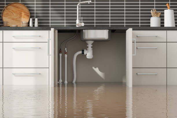 Best Sewage cleanup and water damage restoration  in Saginaw, MI